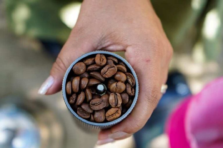 Rio de Contas recebe encontro que valoriza café de altitude e cultura local