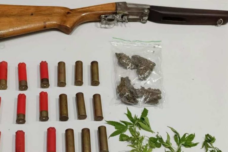 Operação apreende arma, munições e pés de maconha durante cumprimento de mandados em Botuporã