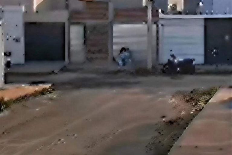 Mulher salva cão de ataque de pitbull e relata pânico em Brumado