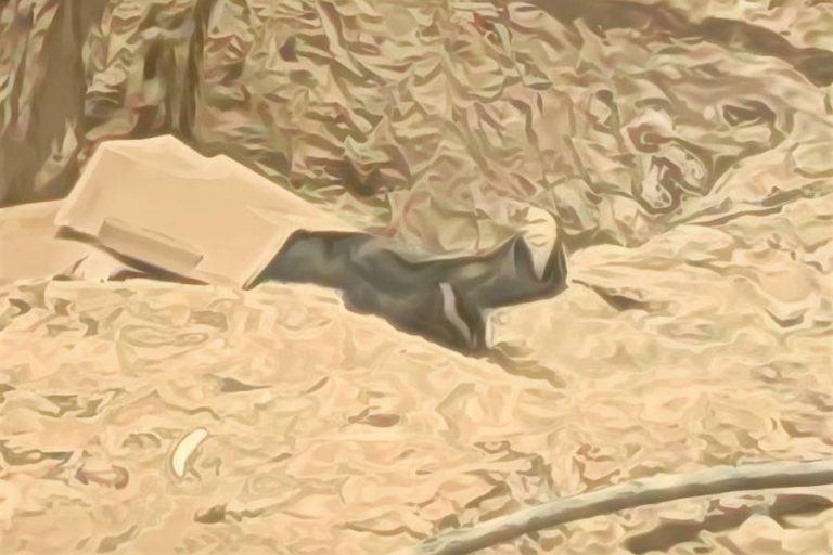 Trabalhador morre após sofrer descarga elétrica durante obra em Guanambi