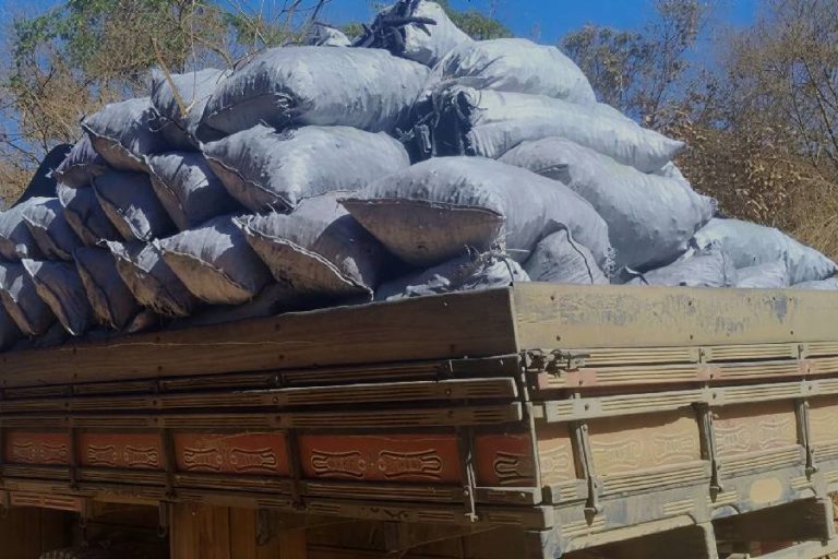 Carga de carvão ilegal é apreendida durante fiscalização em Cândido Sales