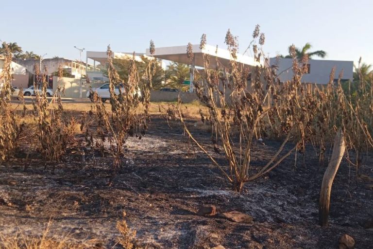 Lixo e mato tomam terrenos e preocupam moradores no bairro Monsenhor Fagundes por causa de incêndios