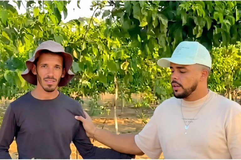 Aposta eleitoral no Sudoeste da Bahia envolve Hilux e fazenda de maracujá