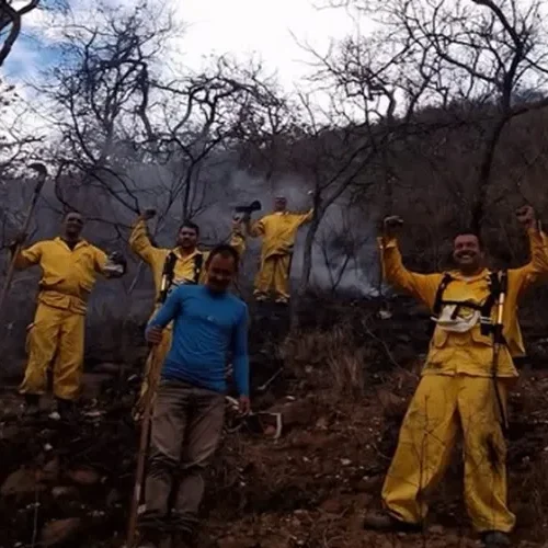 Brigadistas voluntários são homenageados após conter incêndio em Érico Cardoso