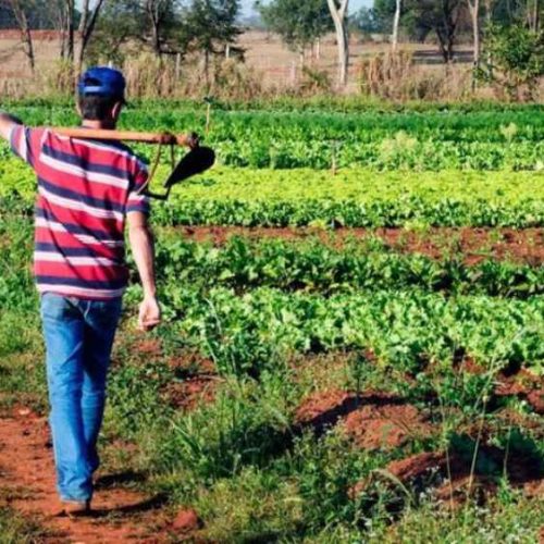 Agricultores de Brumado têm até 21 de setembro para receber R$ 1.200 do Garantia-Safra