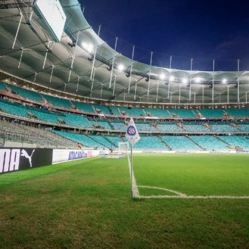 Bahia x Paysandu: veja onde assistir, horário e prováveis escalações