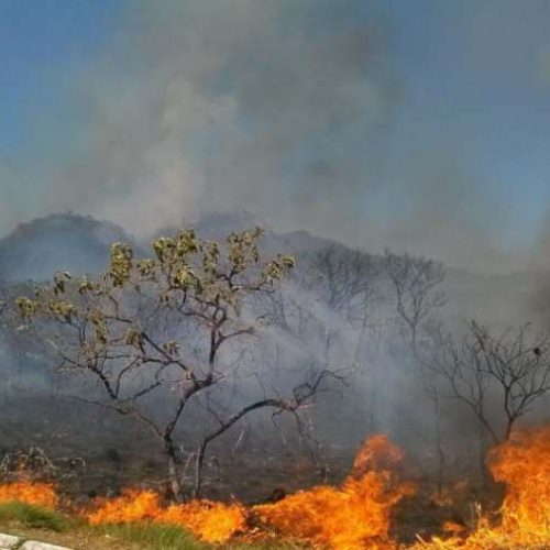 Bombeiros combatem mais de 30 incêndios e pedem ajuda da população em Brumado