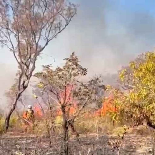 Bombeiros do 7º BBM enfrentam incêndios em operação florestal no Oeste da Bahia