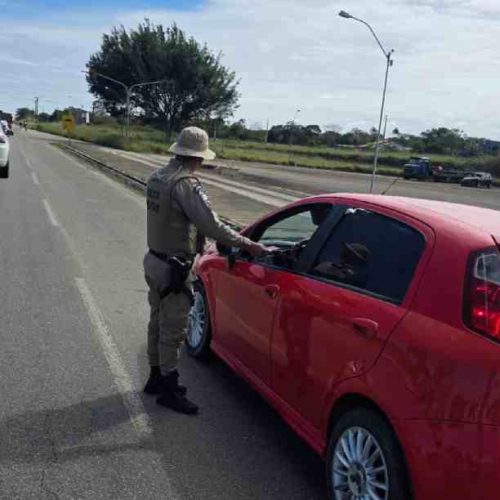 CIPRv Brumado reforça campanha “Pista Não é Pasto” para prevenir acidentes com animais nas rodovias