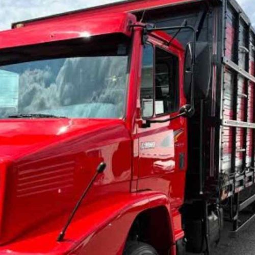 CIPRv/Brumado apreende caminhão com 44 bovinos sem documentação legal em Tanhaçu