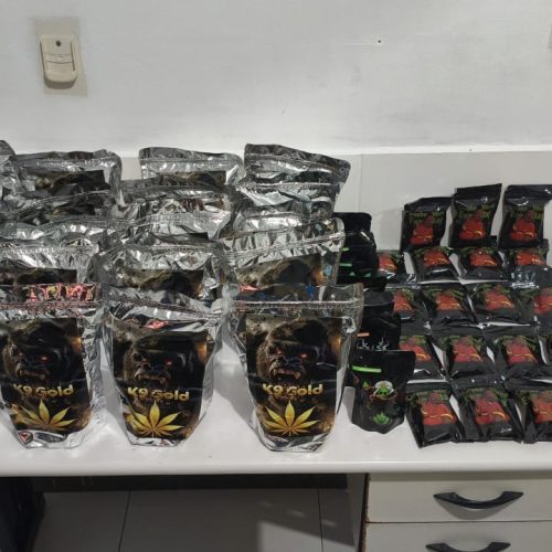 CIPRv/Brumado apreende drogas durante abordagem a ônibus em Tanhaçu