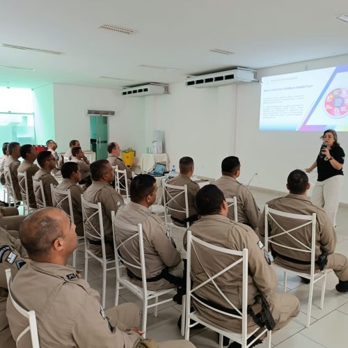 CIPRv/Brumado promove palestra sobre o tema “Medidas Protetivas da Lei Maria da Penha”