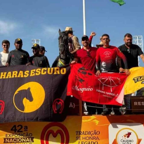 Cavalo de Caculé conquista título nacional e destaca região no cenário da equinocultura