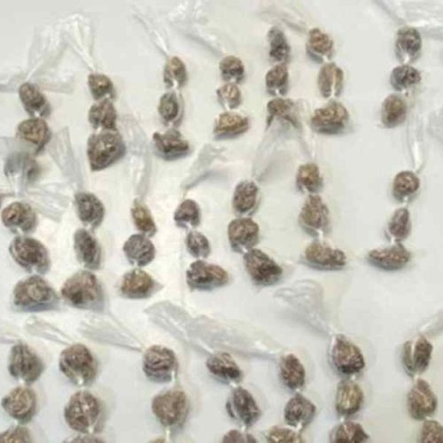 Cipe Sudoeste apreende 109 buchas de maconha após fuga de suspeitos em Paramirim