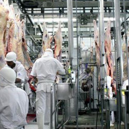 Confrigo abre 19 vagas de emprego em Itapetinga, Vitória da Conquista e São Desidério