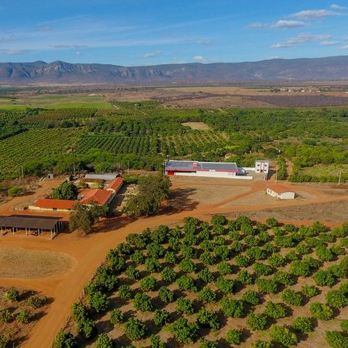 Crise hídrica pode ameaçar produção agrícola em Livramento e Dom Basílio