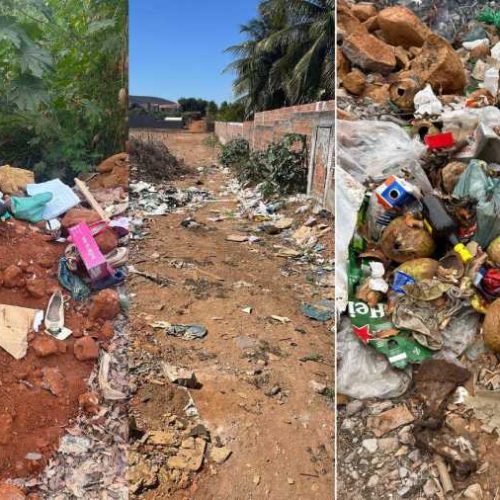 Descarte irregular de lixo e abandono de animais preocupa moradores em Brumado