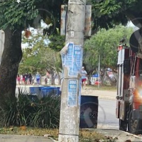 Enxame de abelhas assusta pedestres e mobiliza Bombeiros na Olívia Flores, em Vitória da Conquista