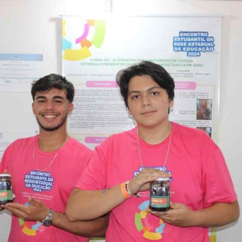 Estudantes criam pomada fitoterápica para tratar feridas em gado em Ibiassucê