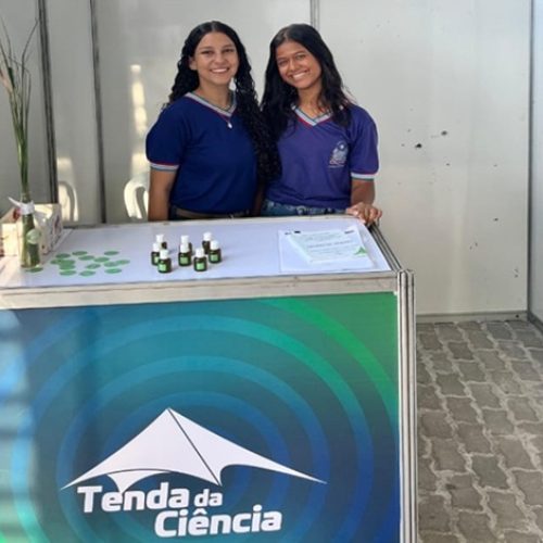 Estudantes de Candiba criam óleo à base de capim-santo para aliviar sintomas da ansiedade