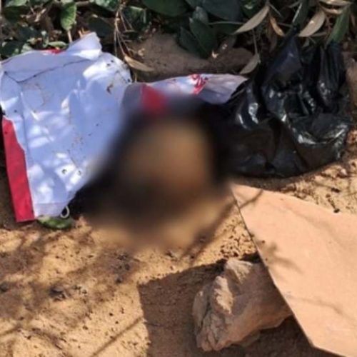 Facção impõe medo: jovem é decapitada e restos mortais espalham terror em Porto Seguro