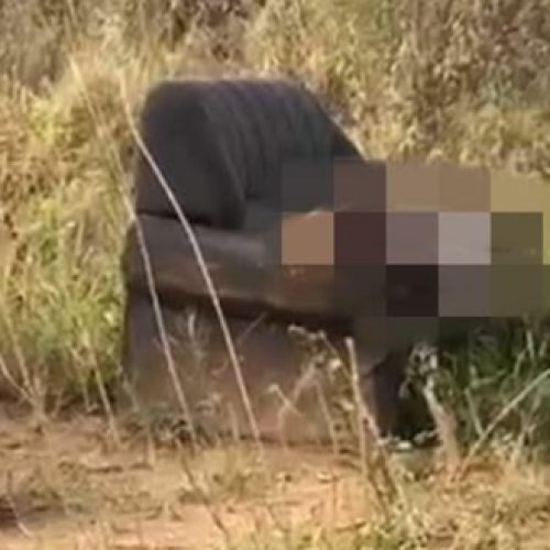 Homem é encontrado morto com as mãos amarradas num sofá velho em Jequié