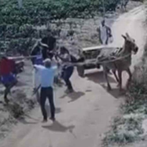 Homem é morto a pauladas em Encruzilhada