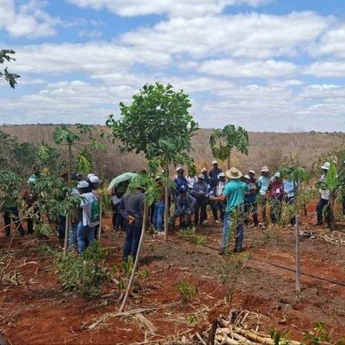 Intercâmbio promovido pela Divina Providência em Caculé e Guajeru valoriza agricultura familiar e sustentabilidade