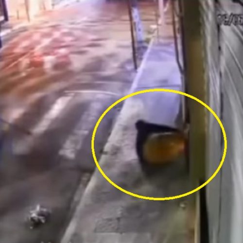 Esconde-esconde do crime: PM prende suspeito de arrombamento debaixo de sofá em Brumado