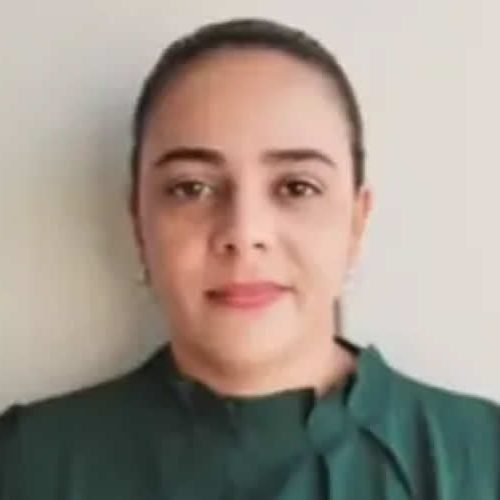 Mulher morre após ser atacada por enxame de abelhas enquanto limpava chácara em Ipirá