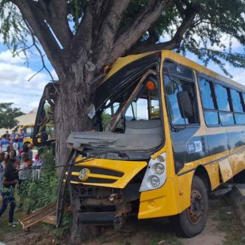 Ônibus escolar bate em árvore e deixa dez estudantes feridos em Paulo Afonso
