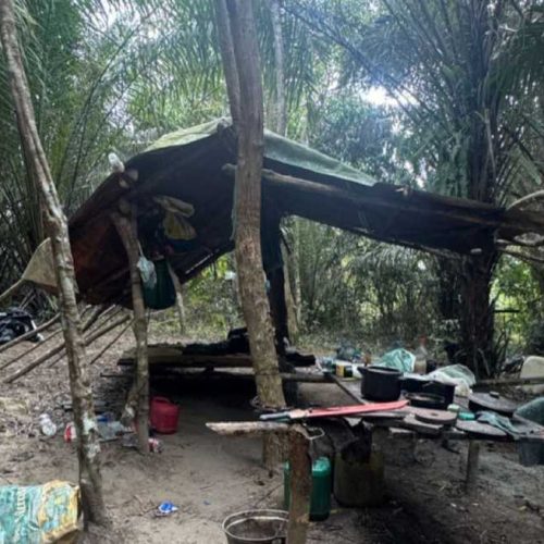 Operação da CIPPA/PS combate caça ilegal e apreende armas em acampamento de Belmonte