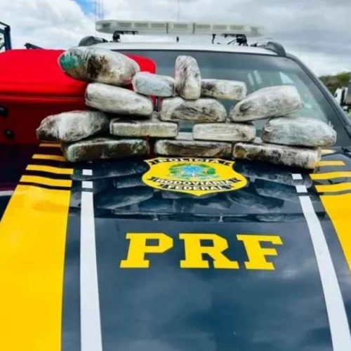 PRF apreende 11 quilos de droga em ônibus na BR-116; passageiro vinha da Rocinha para a Bahia