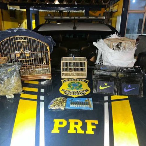 PRF apreende drogas, munições e resgata aves em operação tensa na Bahia