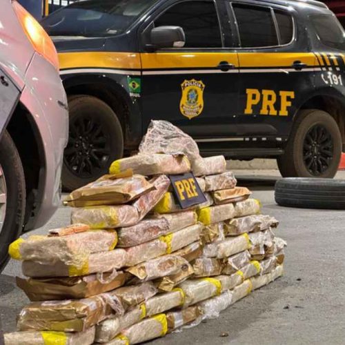 PRF apreende mais de 50 quilos de maconha na BR-242 em Barreiras