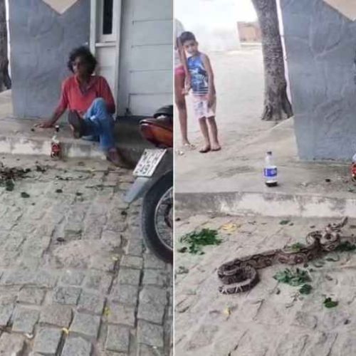 Pânico toma conta de praça e provoca correria com jiboias soltas em Retirolândia