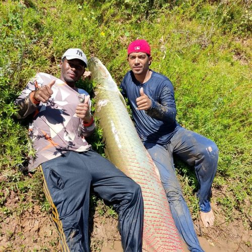 Pirarucu gigante desafia pescadores e vira história no rio São Francisco em Malhada