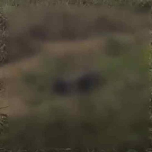 Polícia investiga morte após sequestro e execução na zona rural de Vitória da Conquista