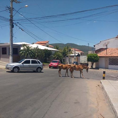 Foto Washington Tiago Sudoeste Acontece