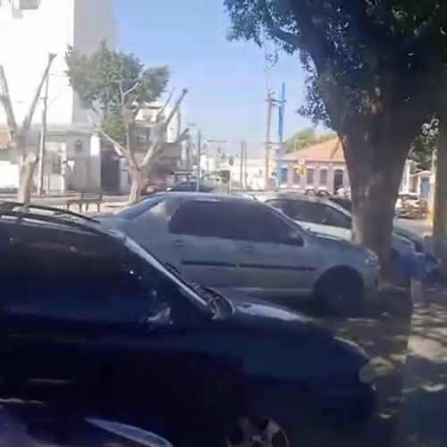 Prefeitura de Guanambi confirma mortes de árvores e promete reposição após ação criminosa