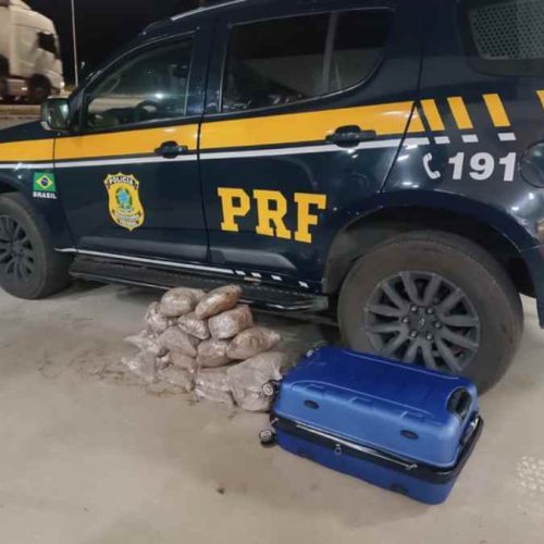 Quatro presos com malas lotadas de maconha em Vitória da Conquista; veja o destino da droga
