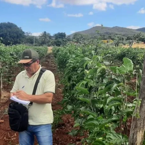 Secretaria de Agricultura leva assistência técnica para produtores rurais de Brumado