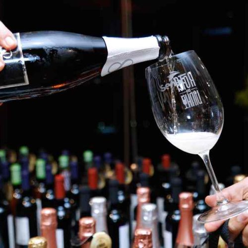 Vitória da Conquista sedia 3ª edição da Rota do Vinho com foco em experiências, negócios e cultura enogastronômica