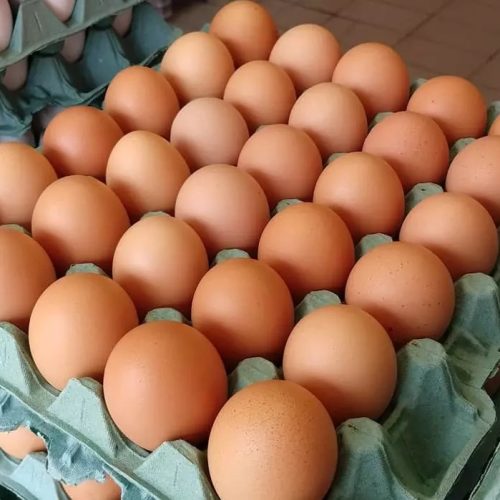 Exportações brasileiras de ovos disparam 271% em abril