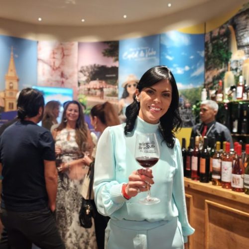 Morro do Chapéu conquista medalhas e destaque em evento nacional de vinhos